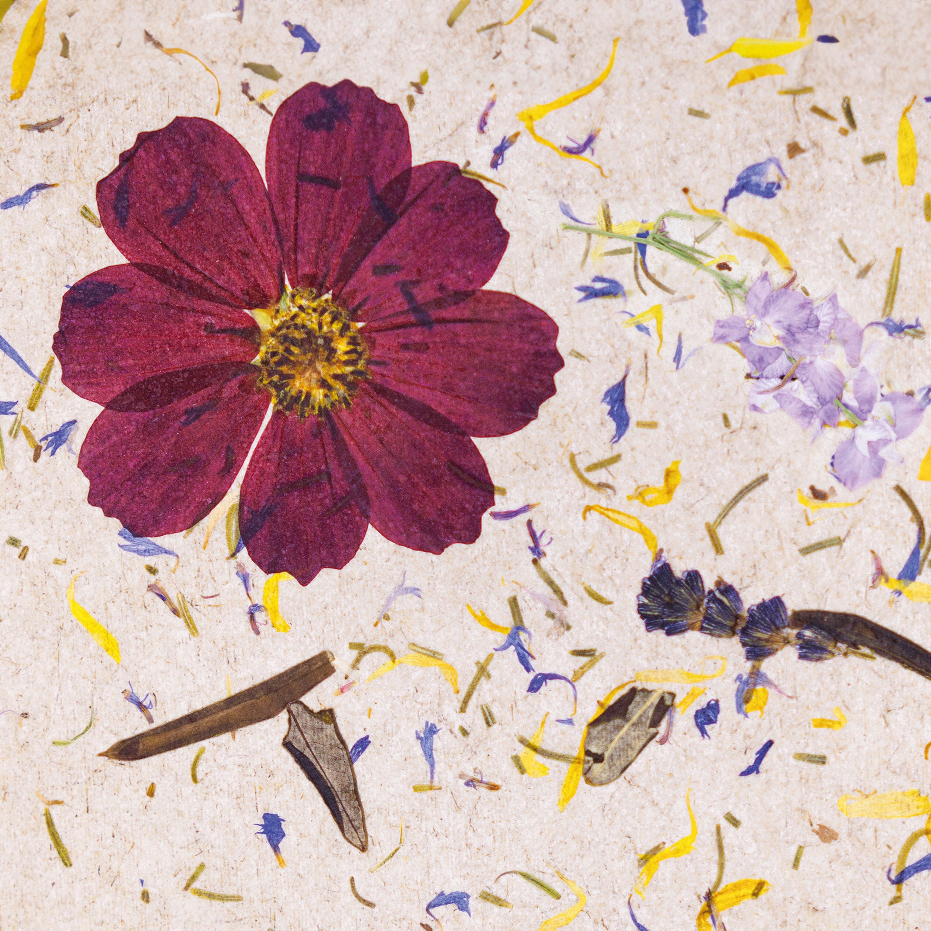 ORGANOID - CARPE DIEM