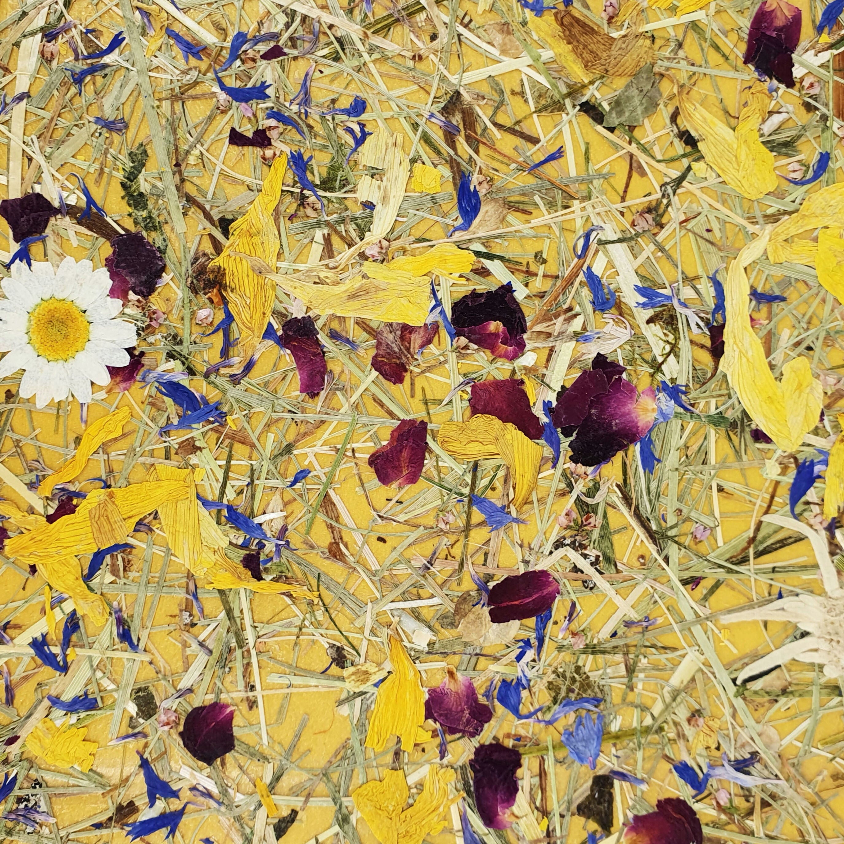 ORGANOID - BERGWIESE