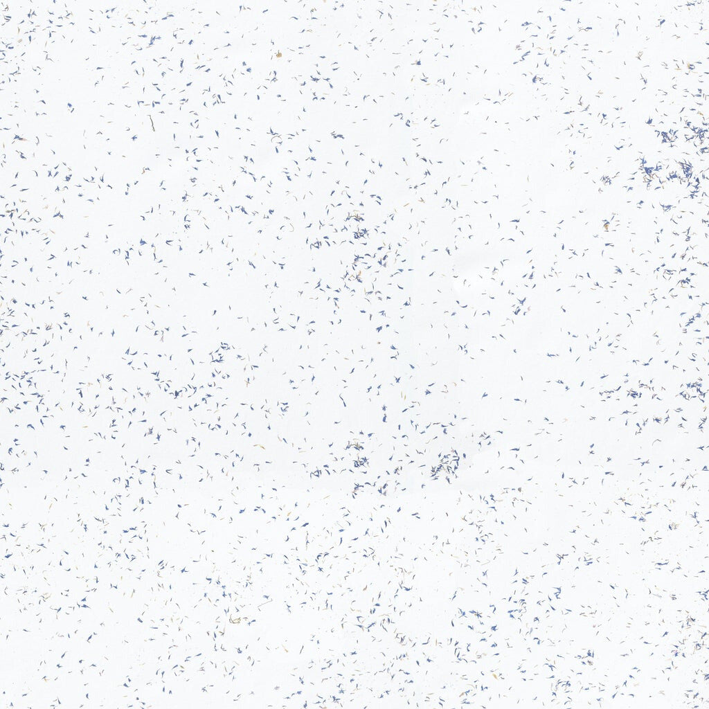 ORGANOID - KORNBLUME LIGHT