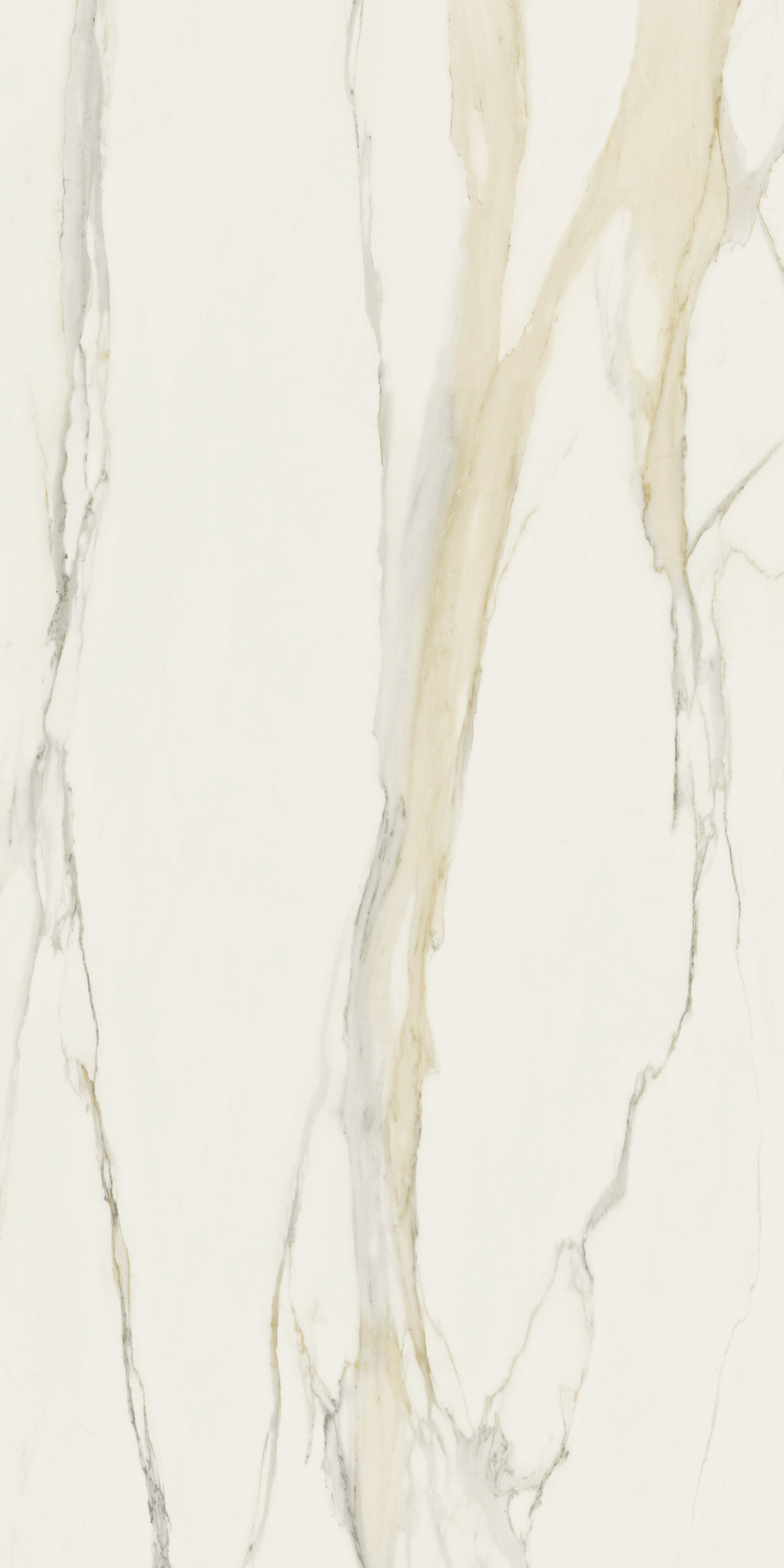 I Classici - Calacatta gold