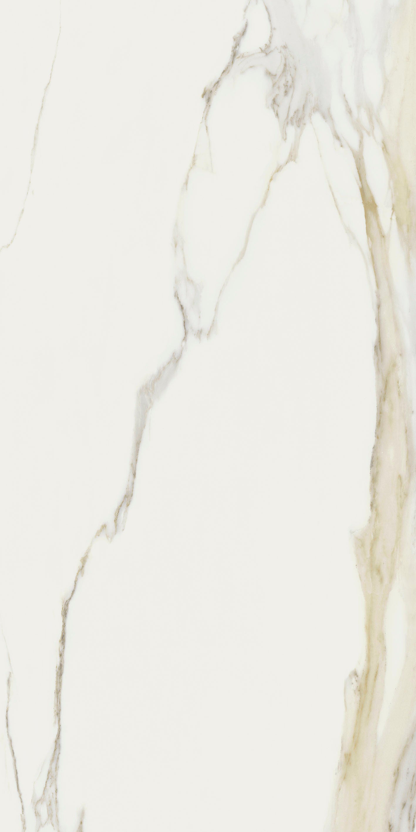 I Classici - Calacatta gold