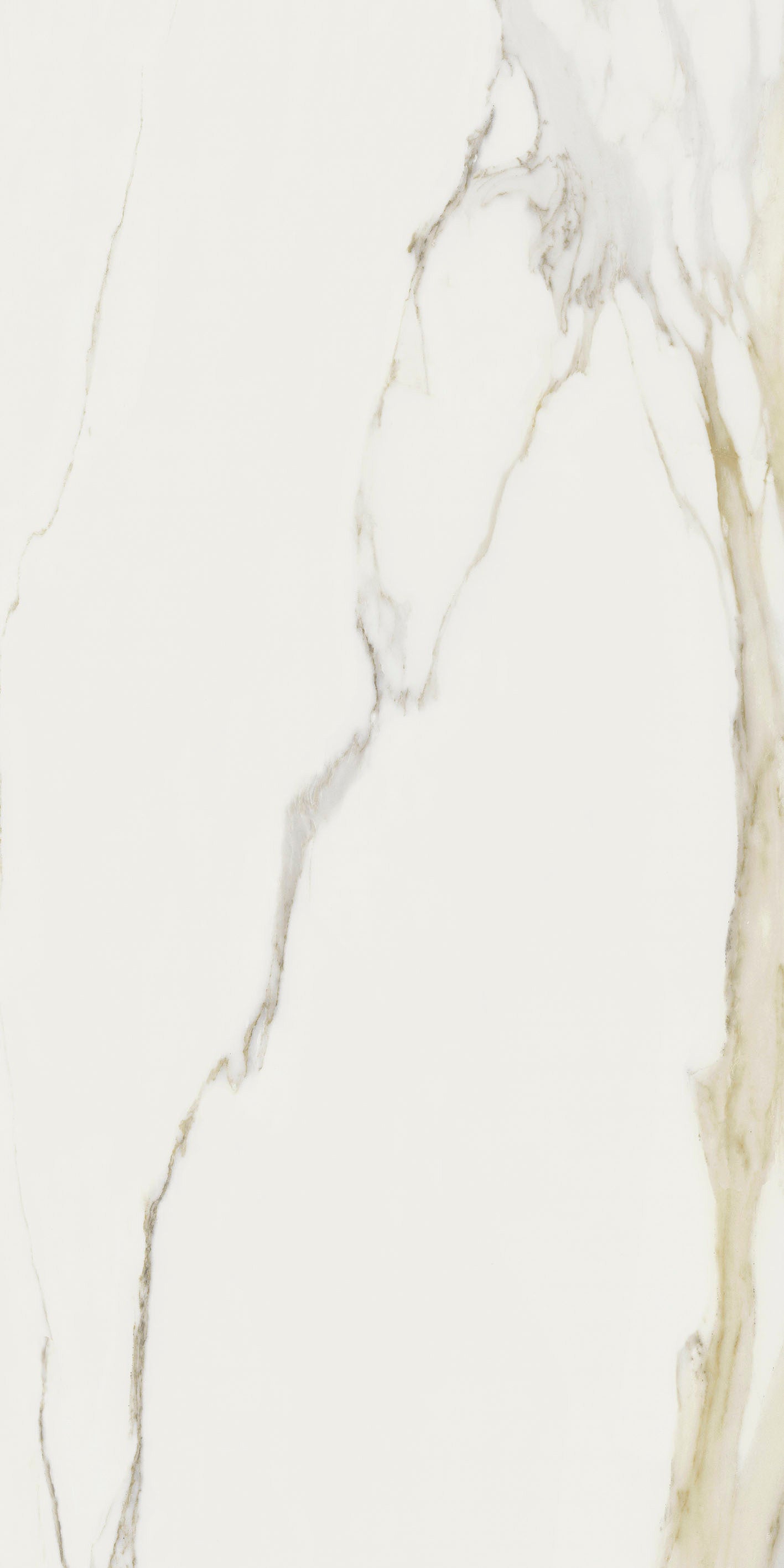 I Classici - Calacatta gold