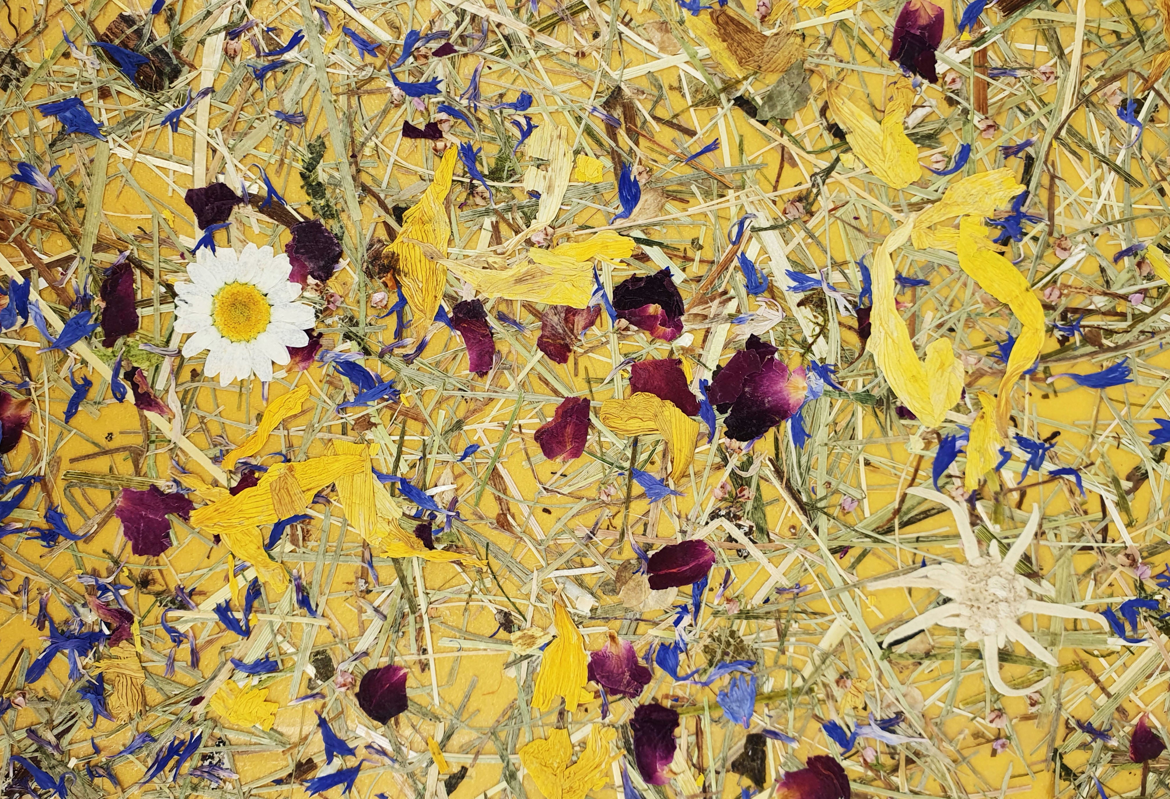 ORGANOID - BERGWIESE