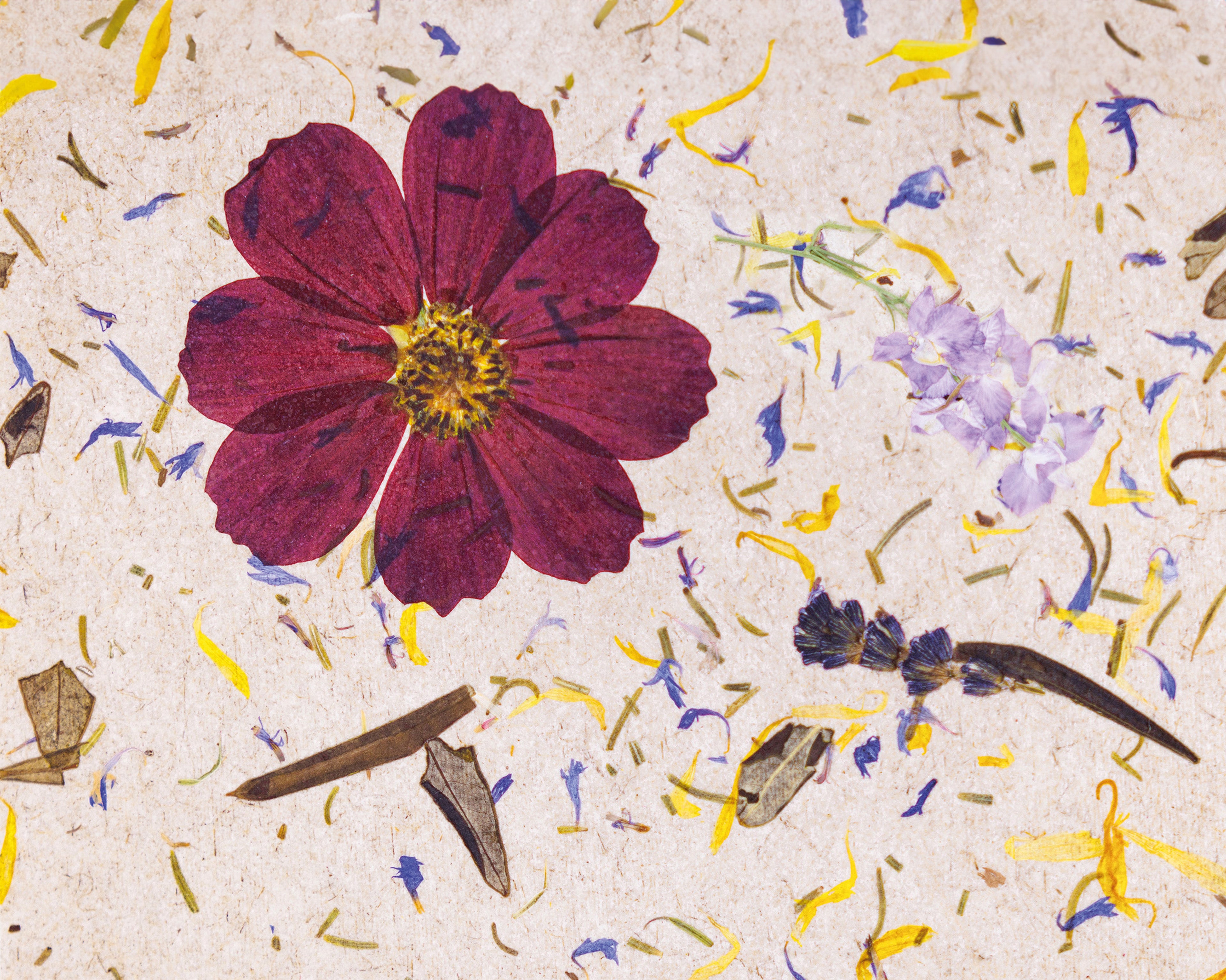 ORGANOID - CARPE DIEM