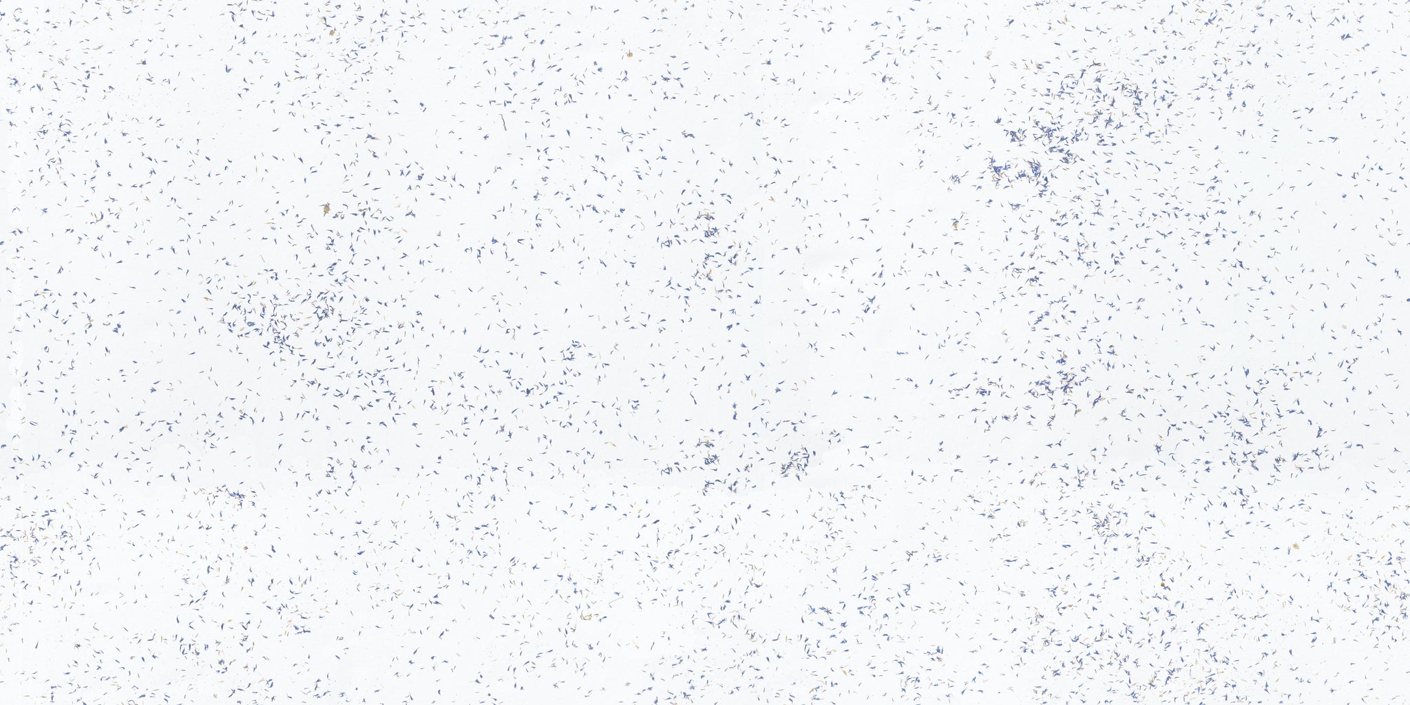 ORGANOID - KORNBLUME LIGHT