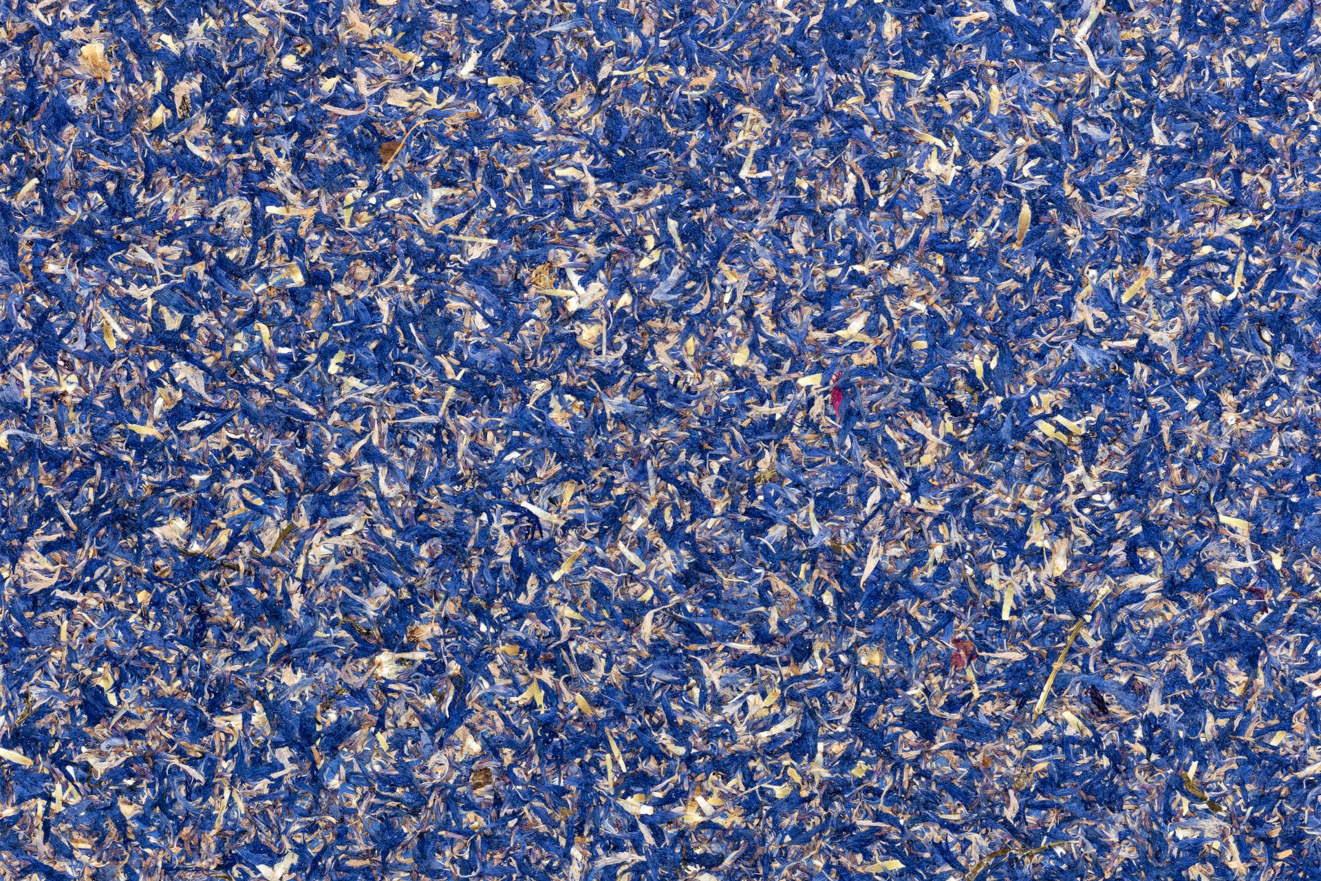 ORGANOID - KORNBLUME BLAU