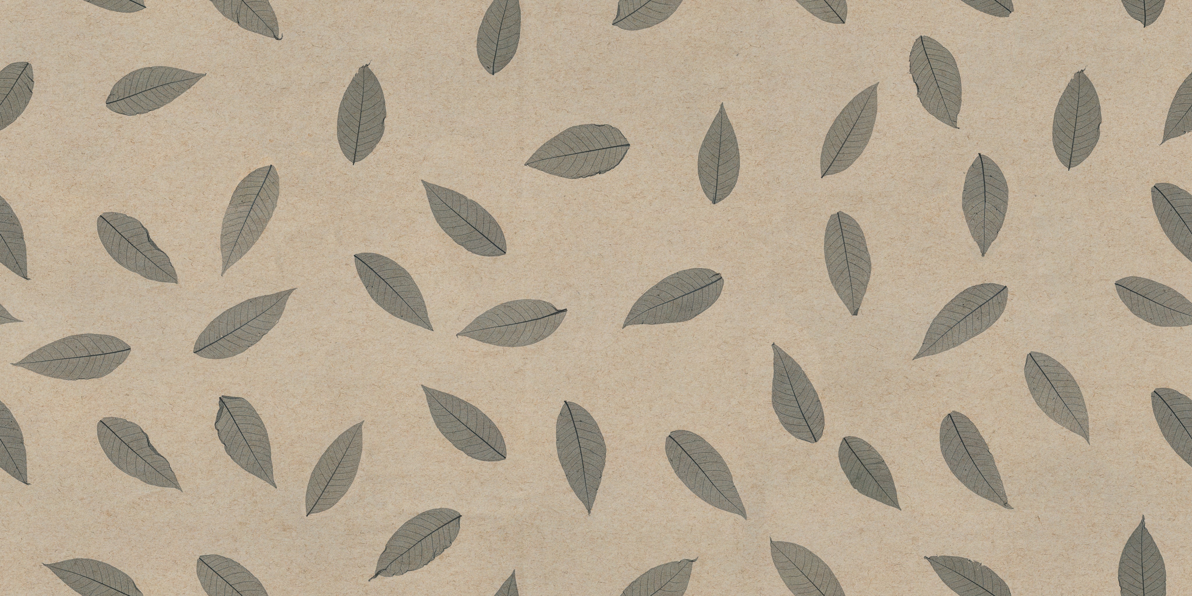 ORGANOID - SKELETTBLÄTTER ANTHRAZIT LIGHT