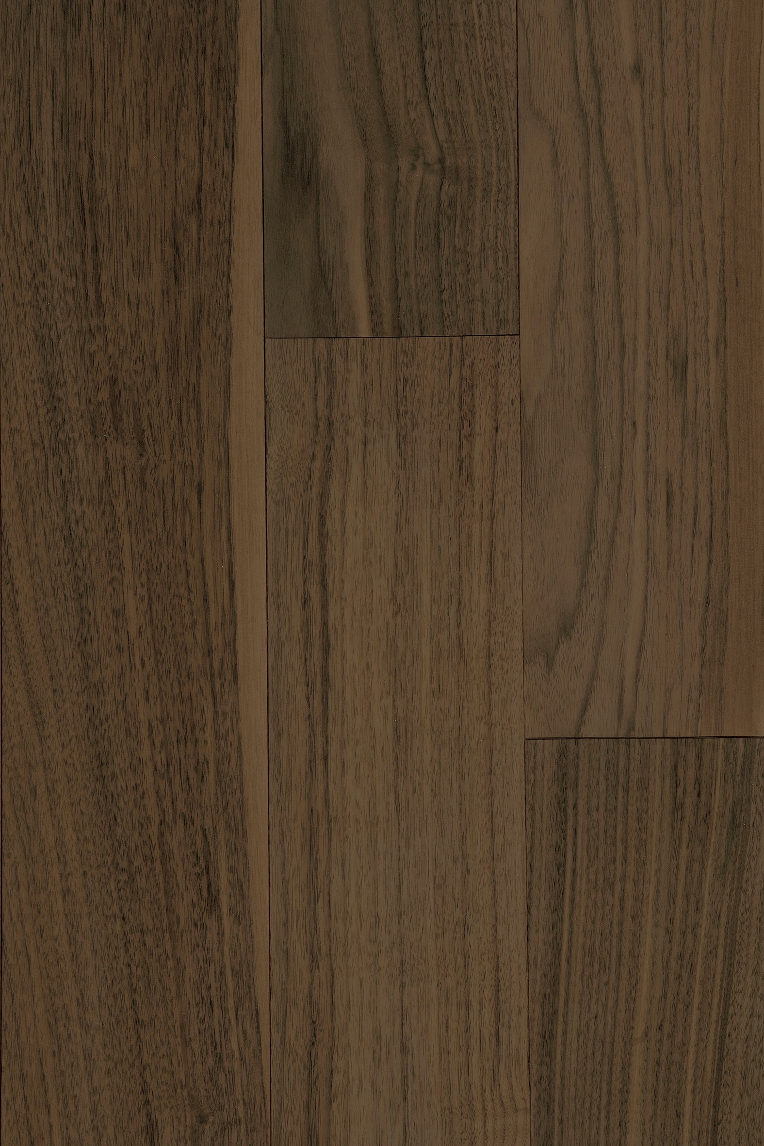 Wild Walnut