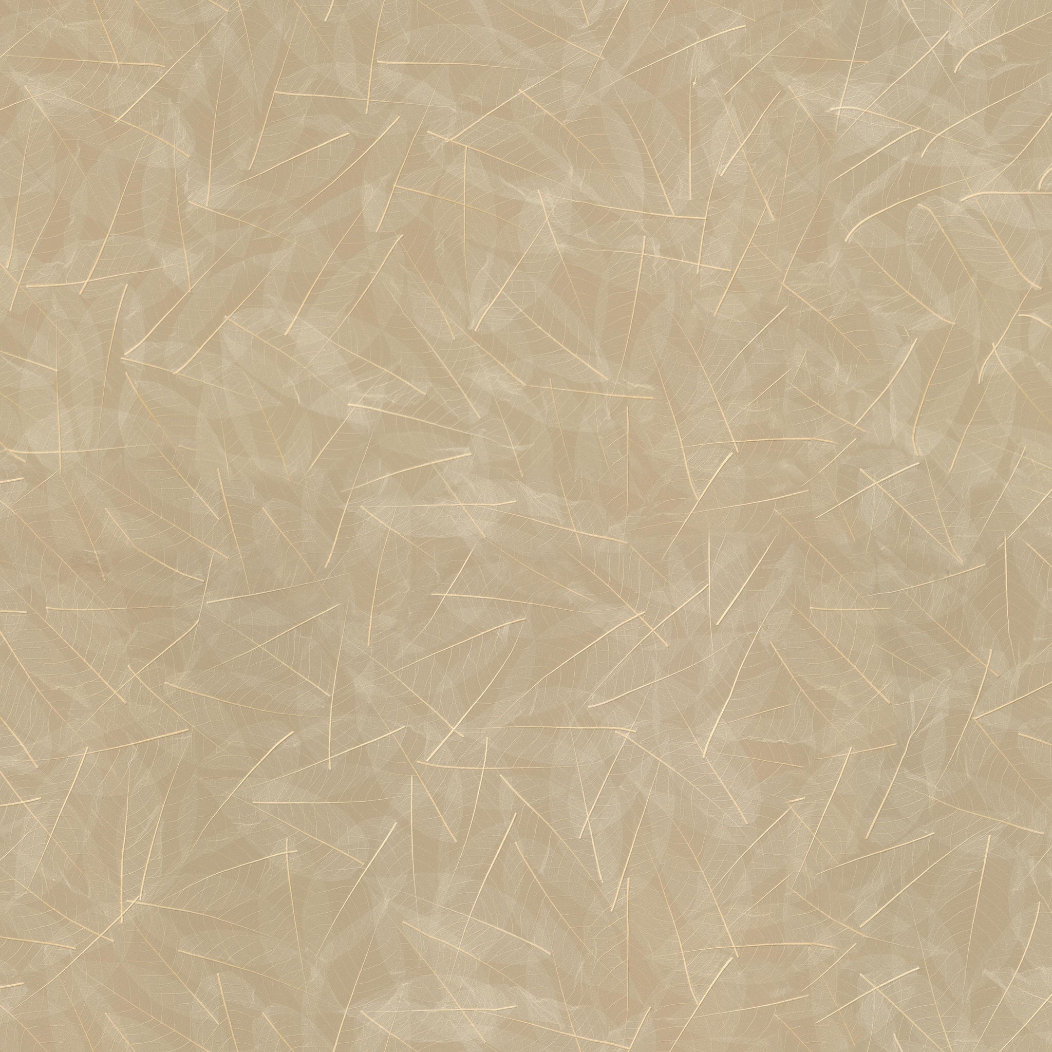 ORGANOID - SKELETTBLÄTTER