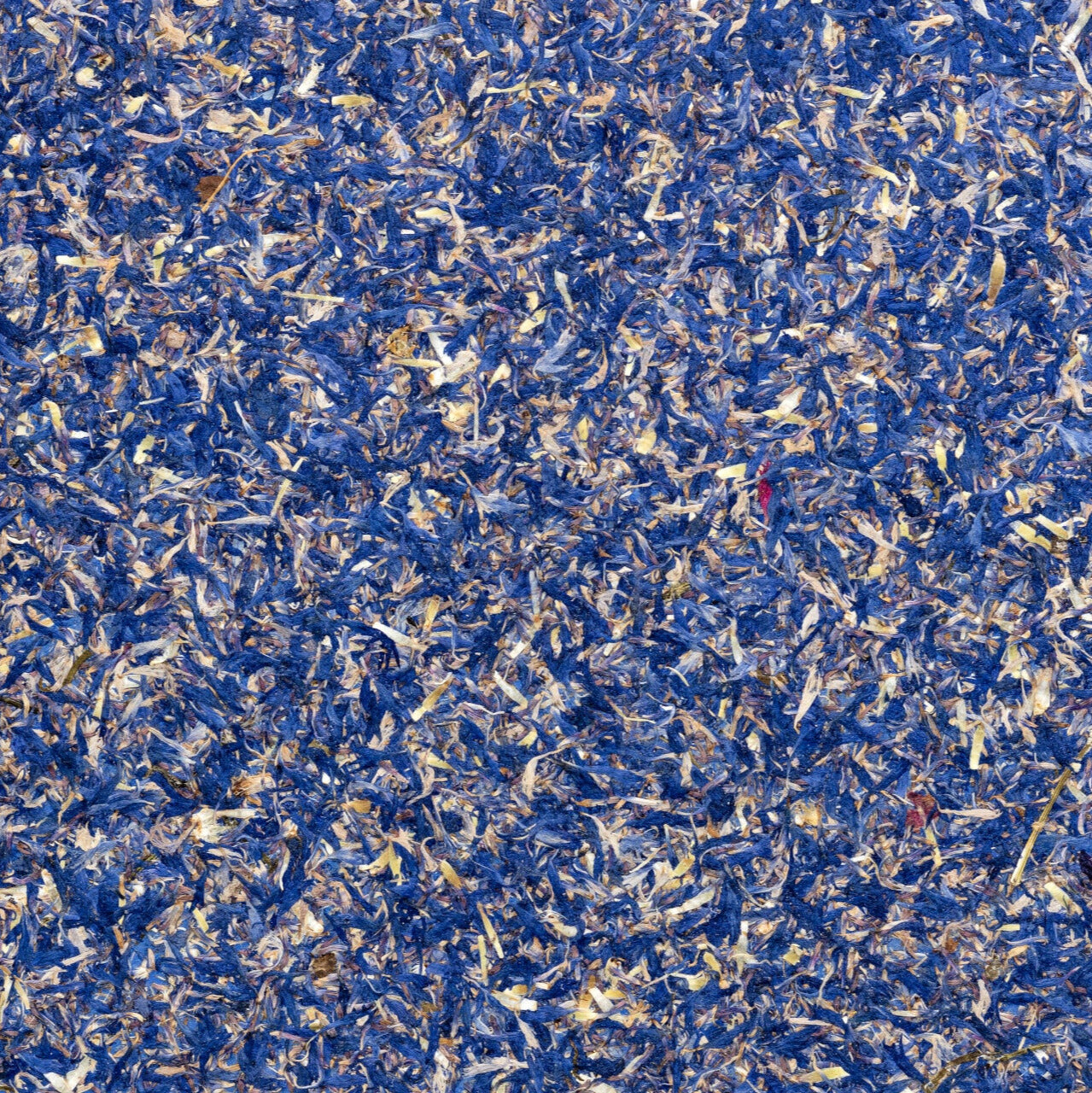 ORGANOID - KORNBLUME BLAU