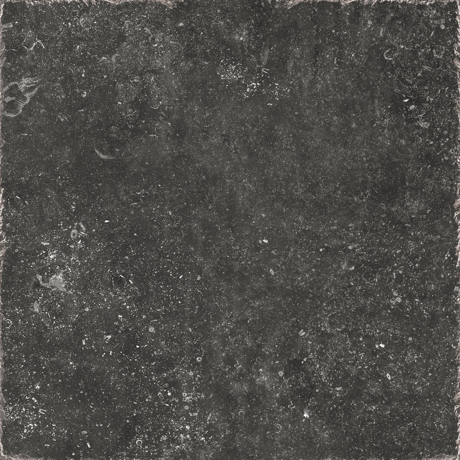 Piedra TecnológicaCarriere du kronos - Namur - Interni México