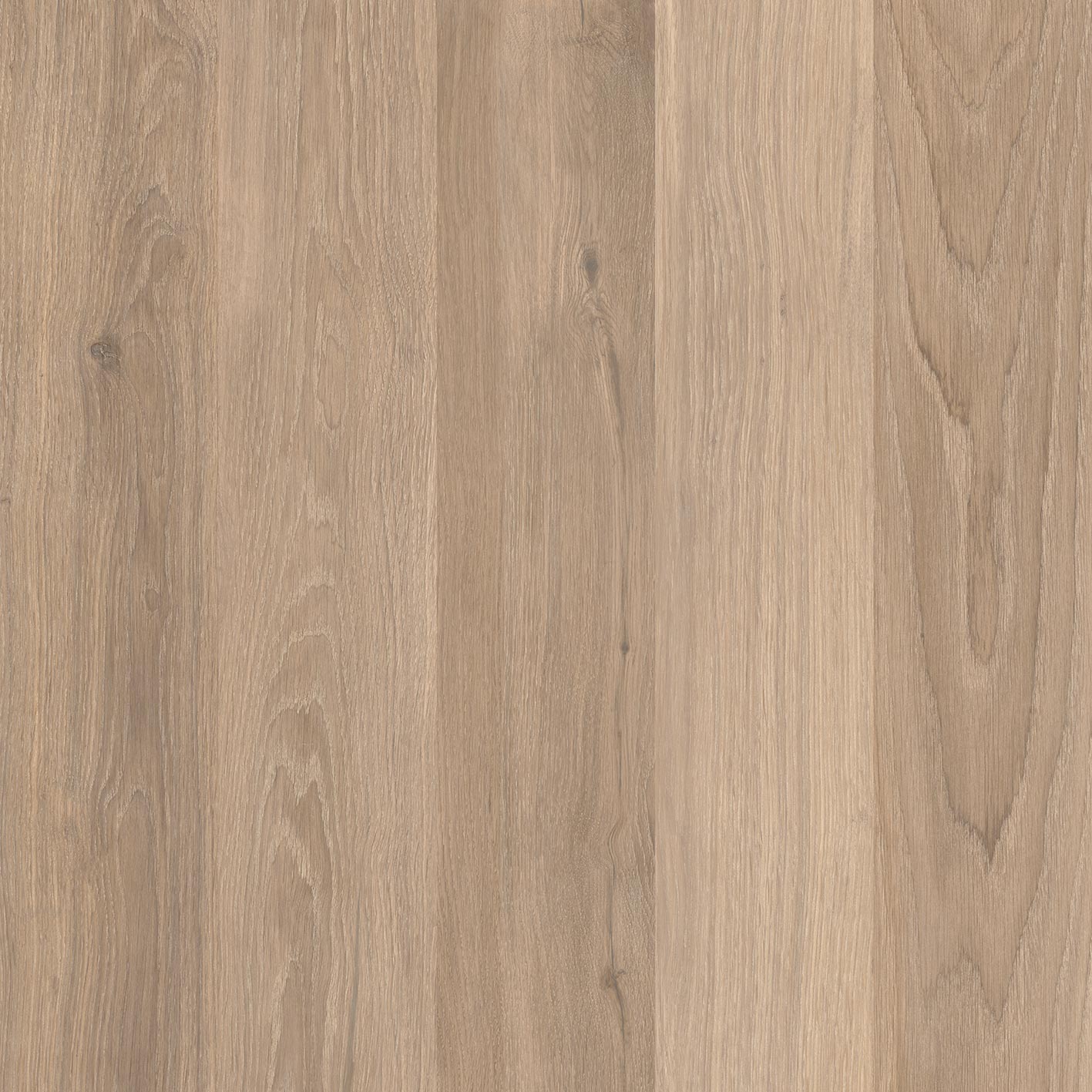 Piedra TecnológicaCocoon - Ease - Interni México