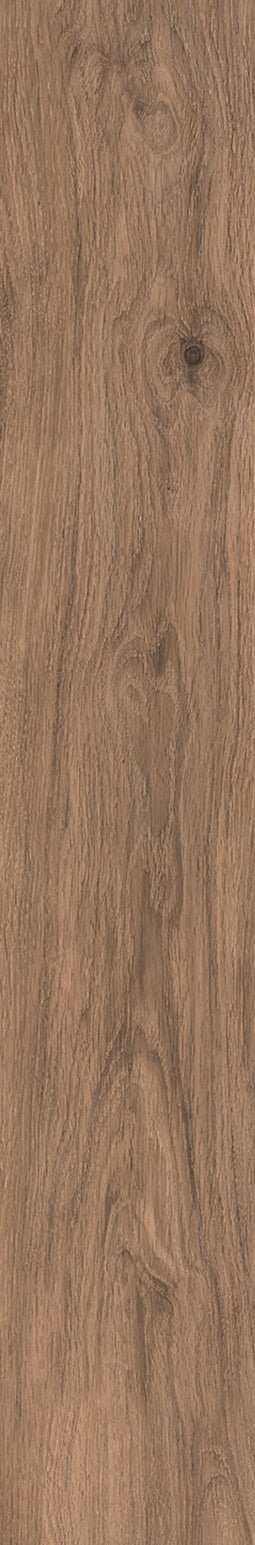 Piedra TecnológicaCocoon - Peace - Interni México