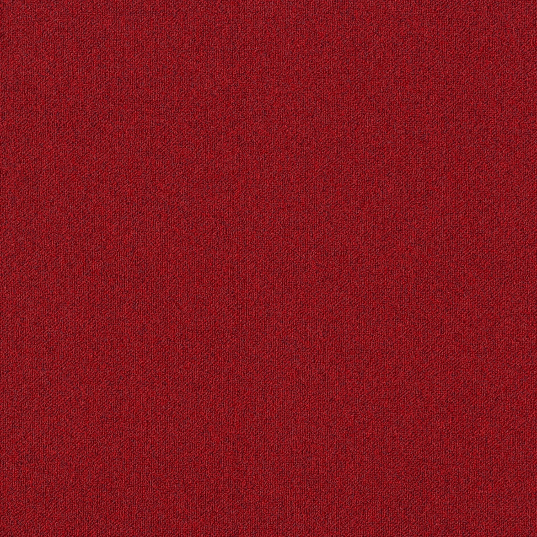 AlfombrasCreative Spark - Creative Spark BT426 - Interni México