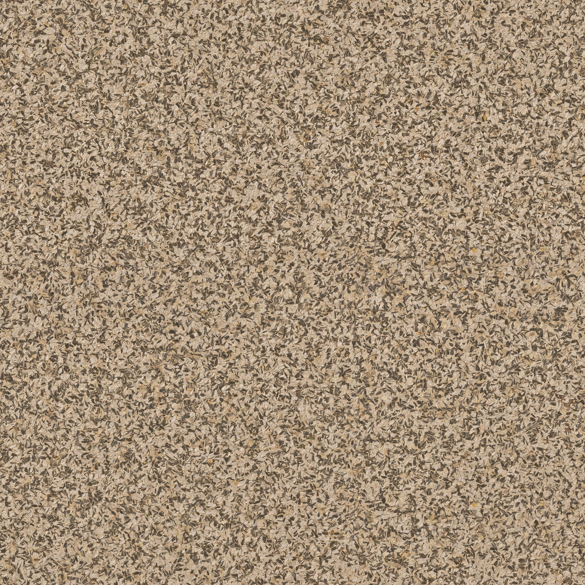 ORGANOID - SONNENBLUMEN