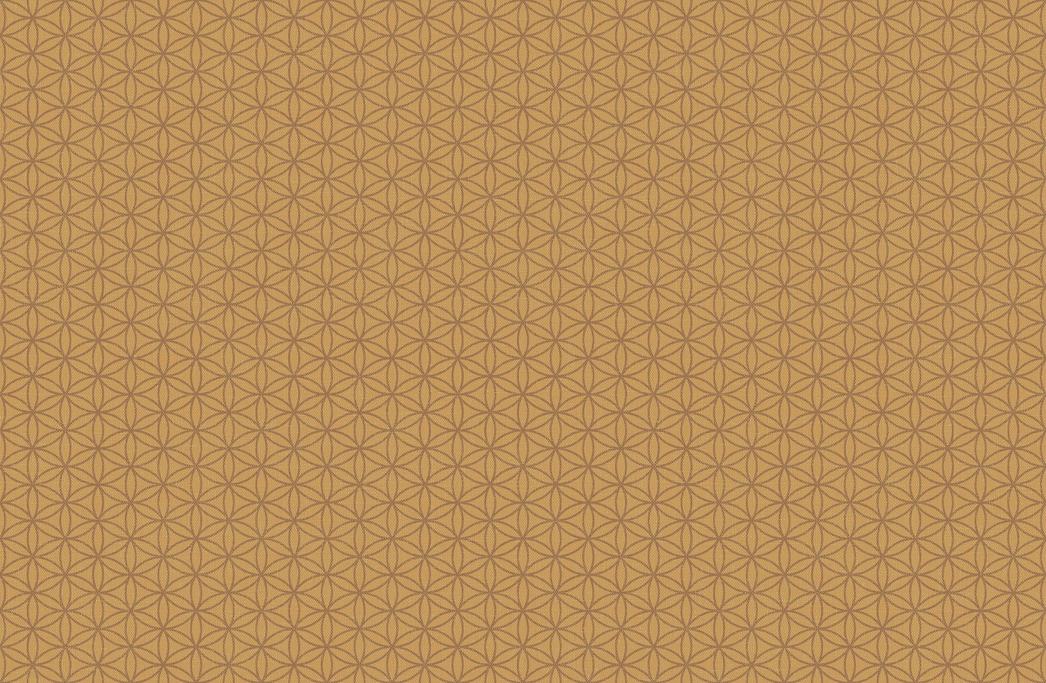 Tapiz ContractELEMENT - SEED OF LIFE - Interni México