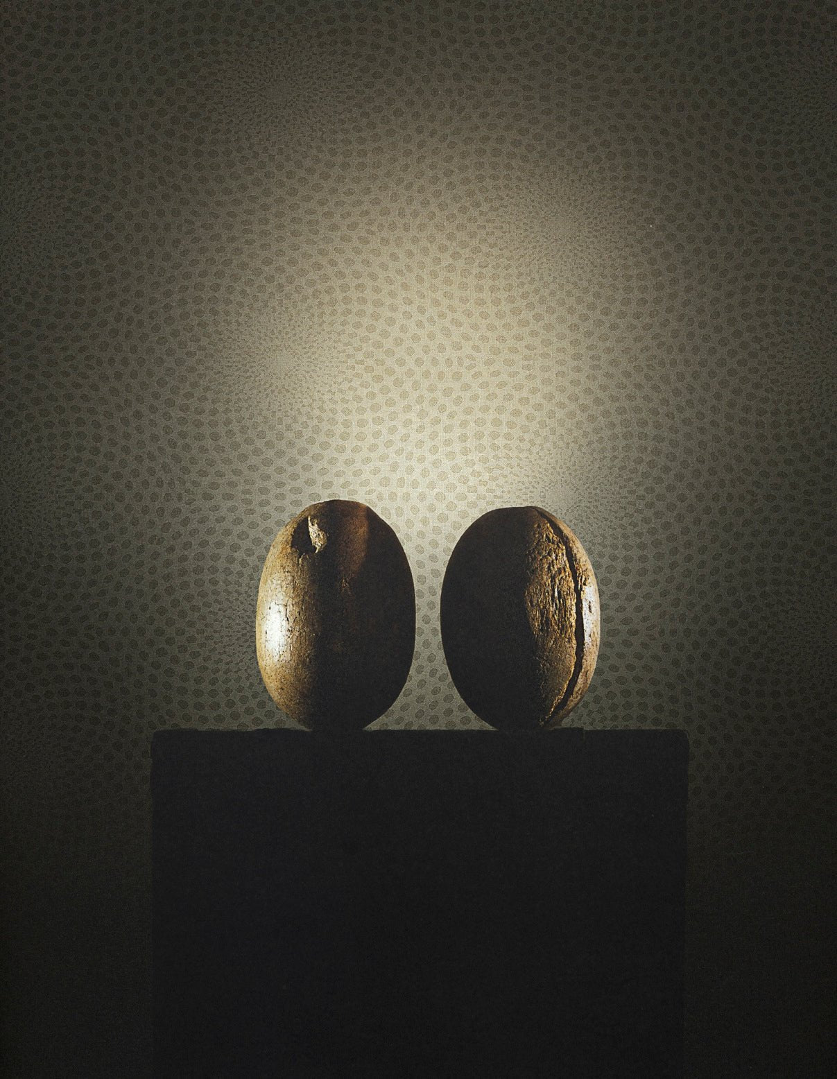 Tapiz ContractELEMENT - SUNFLOWER - Interni México