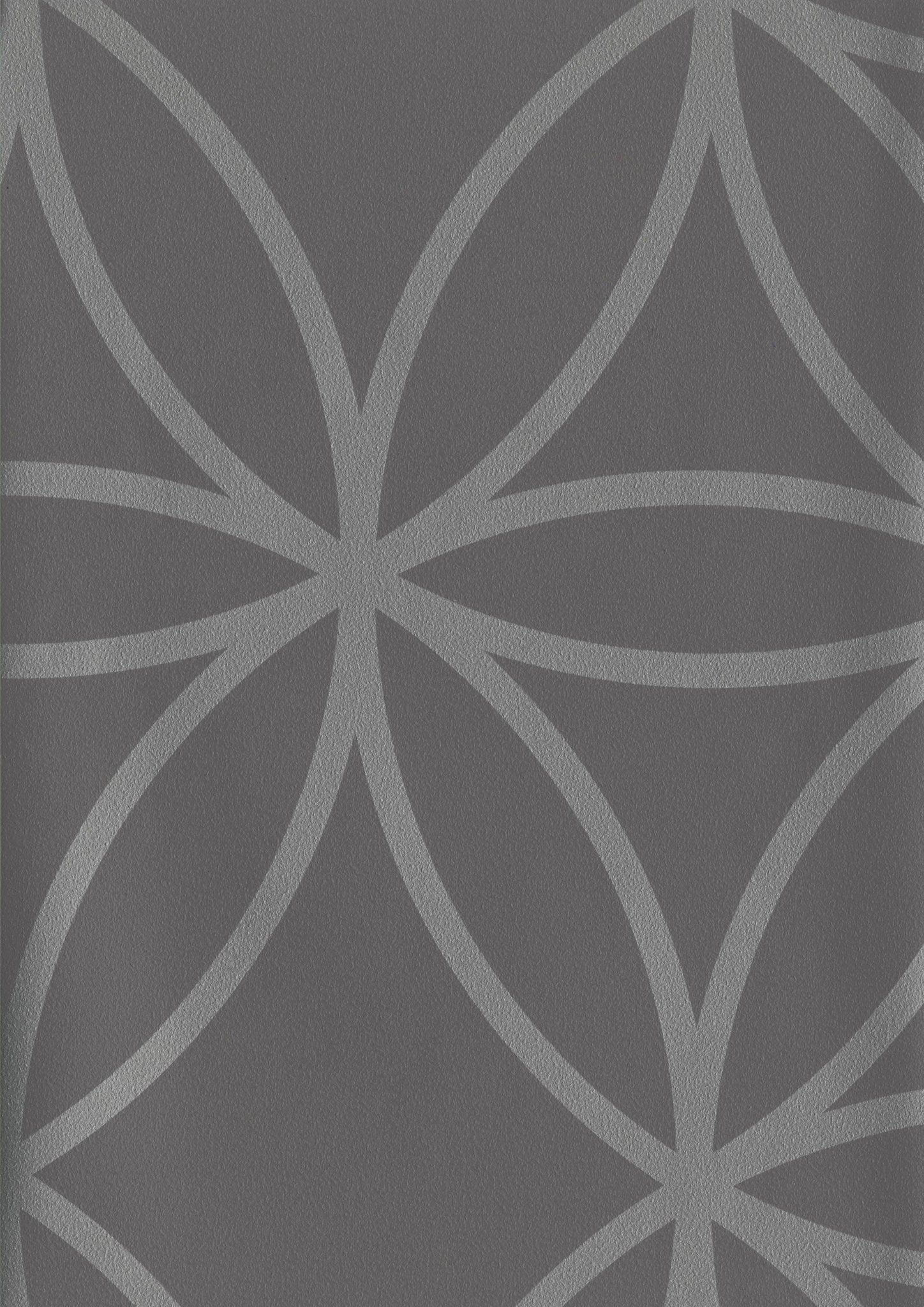 Tapiz ContractEllipse - Interni México