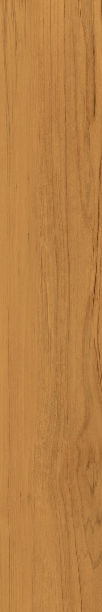 Piedra TecnológicaFabula - Theca - Interni México