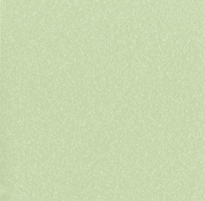 Tapiz ContractHealthcare - Interni México