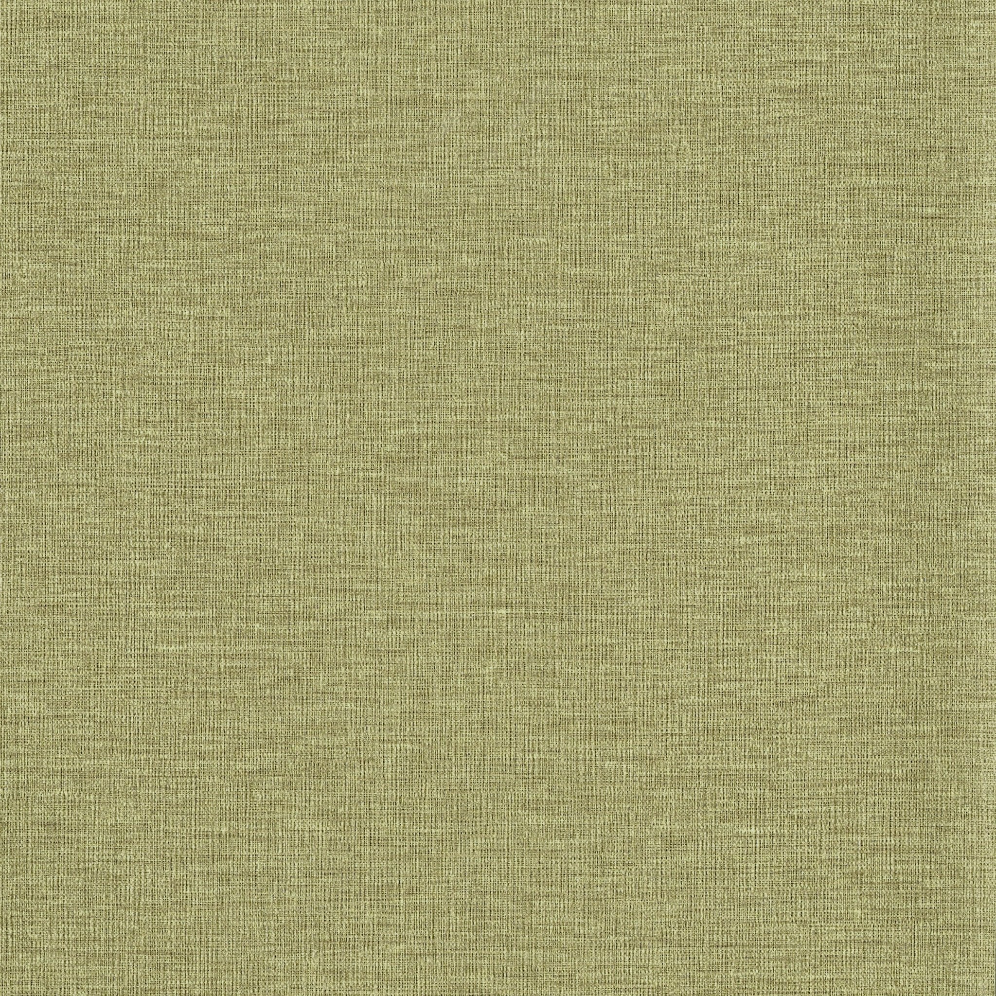 Tapiz ContractHealthcare - Interni México