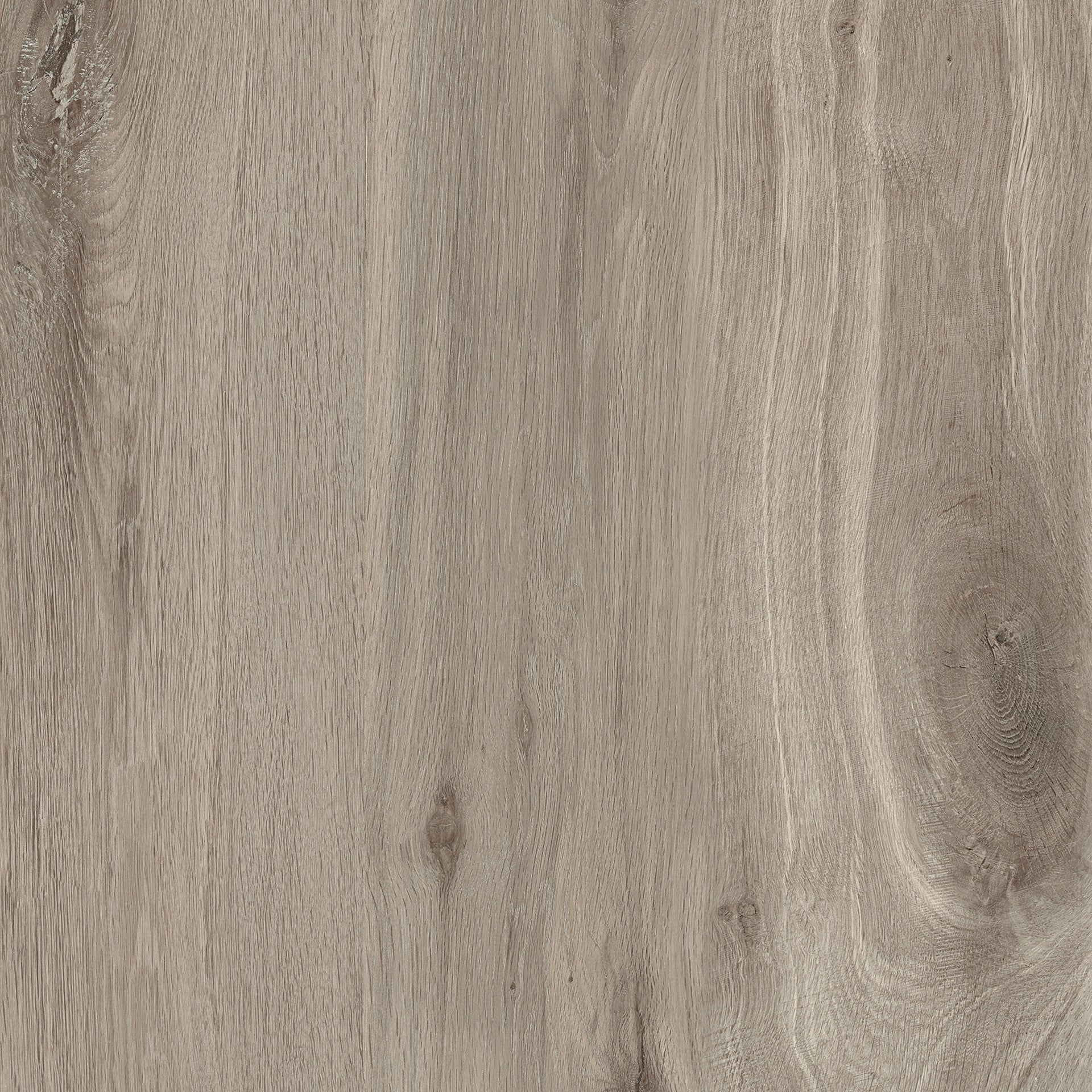 Piedra TecnológicaJarupa - Cool - Interni México