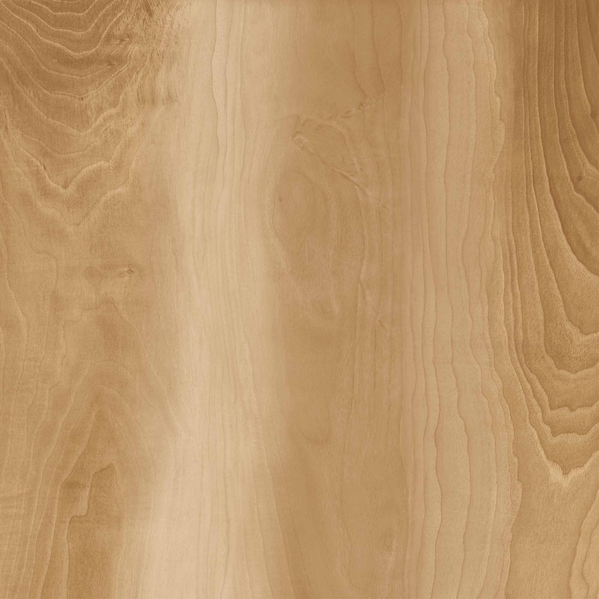 Piedra TecnológicaLife - Oak - Interni México