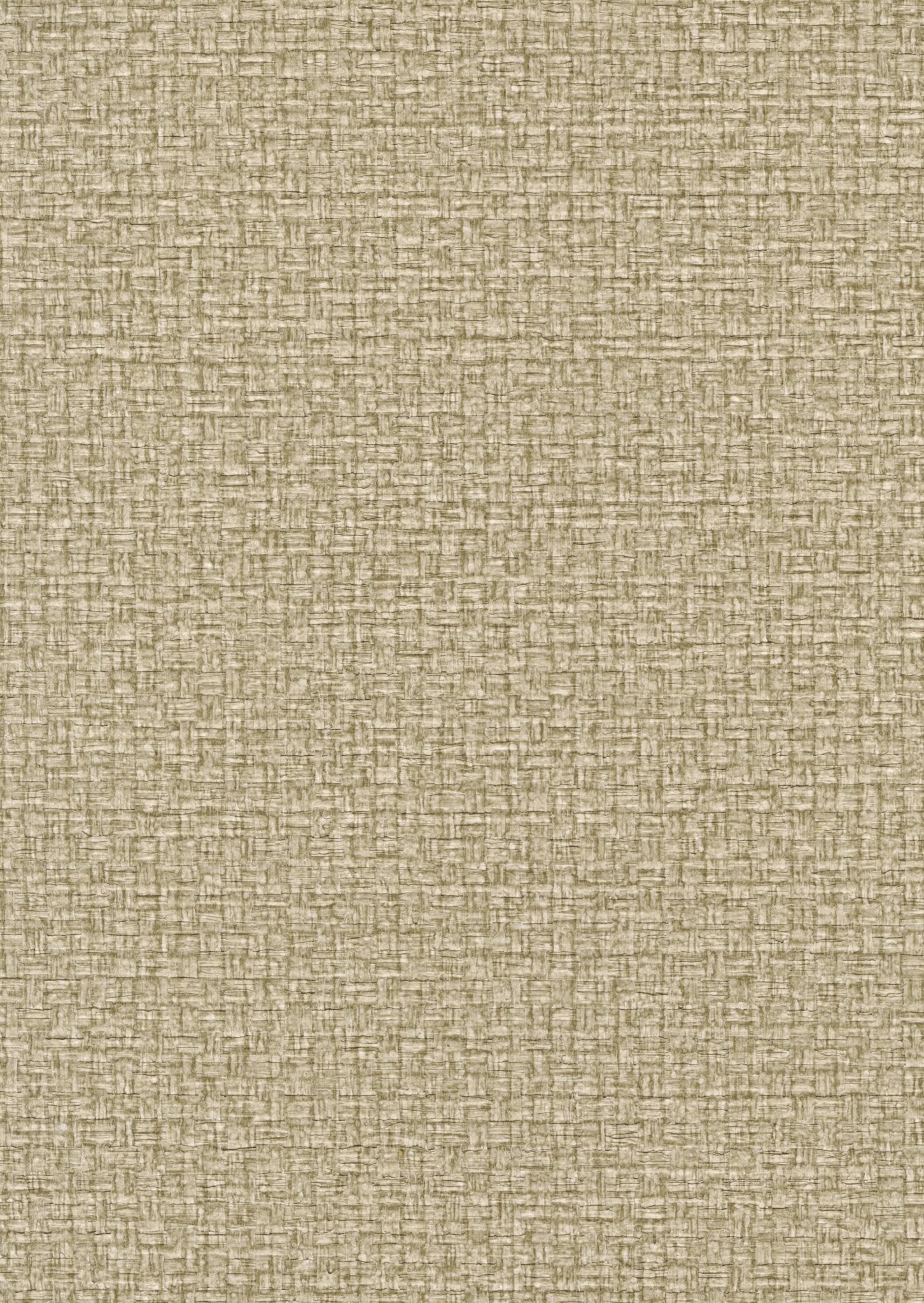 Tapiz ContractRaffia - Interni México