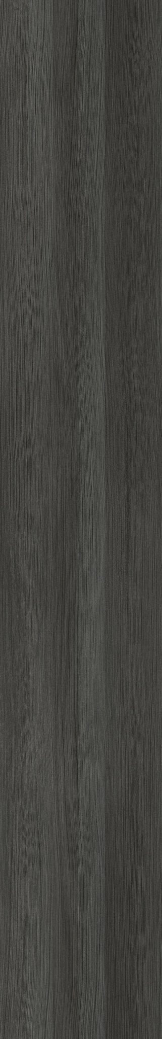 Piso LVTReforestation - Interni México