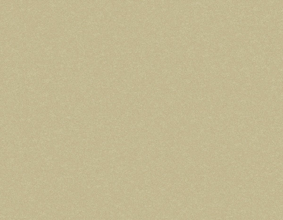 Tapiz ContractSandstone - Interni México