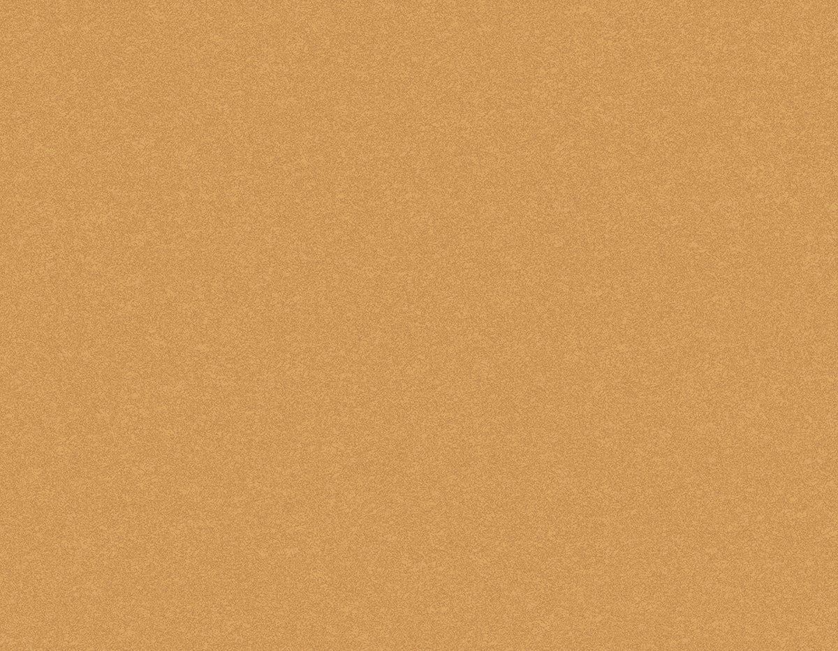 Tapiz ContractSandstone - Interni México