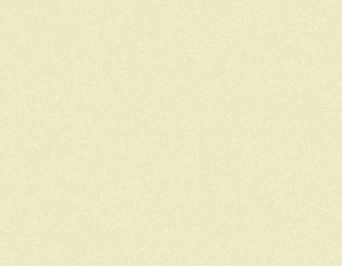 Tapiz ContractSandstone - Interni México