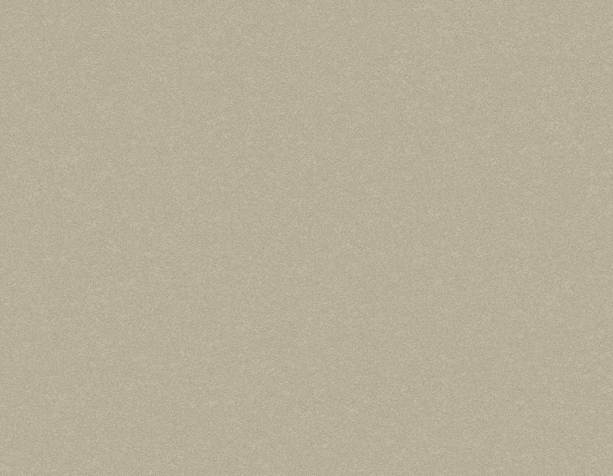 Tapiz ContractSandstone - Interni México